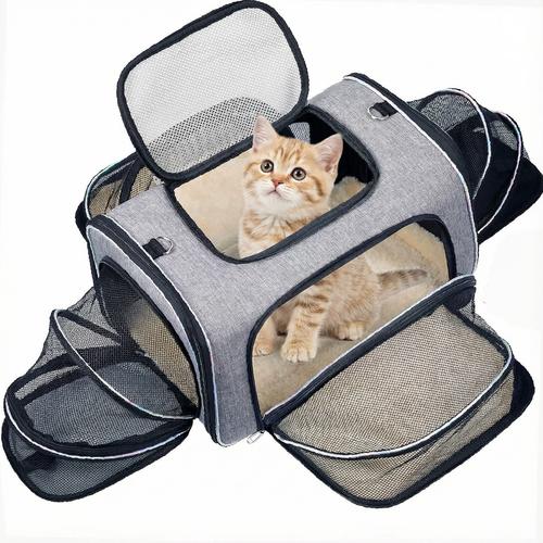 曼谷 宠物用品